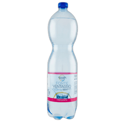 SAN BENEDETTO BIBITA ,5 GASSOSA